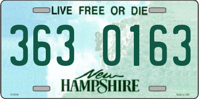 NH license plate 3630163