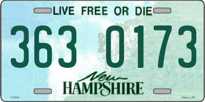 NH license plate 3630173