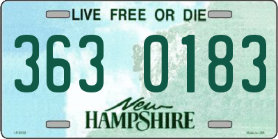 NH license plate 3630183