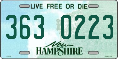 NH license plate 3630223
