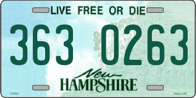 NH license plate 3630263