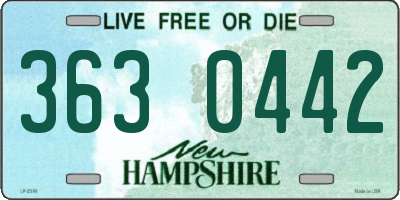 NH license plate 3630442