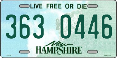 NH license plate 3630446