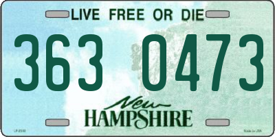 NH license plate 3630473