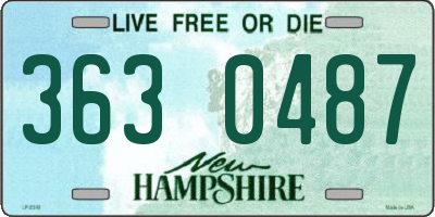 NH license plate 3630487