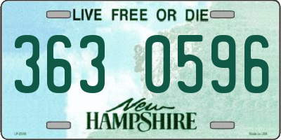NH license plate 3630596
