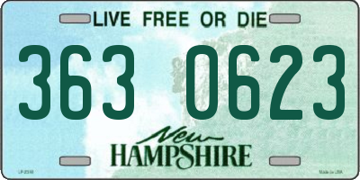 NH license plate 3630623