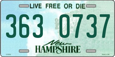NH license plate 3630737
