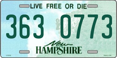 NH license plate 3630773