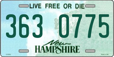 NH license plate 3630775