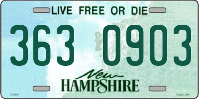 NH license plate 3630903