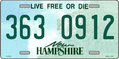 NH license plate 3630912