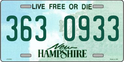 NH license plate 3630933