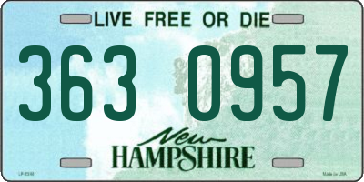 NH license plate 3630957