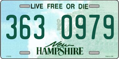 NH license plate 3630979