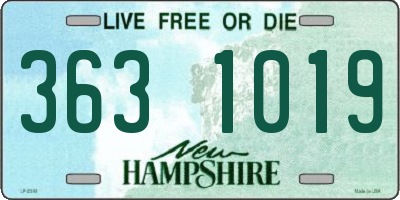 NH license plate 3631019