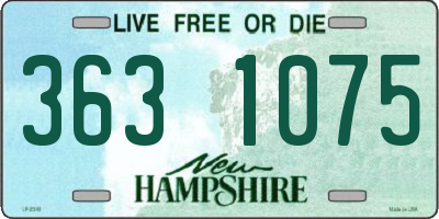 NH license plate 3631075