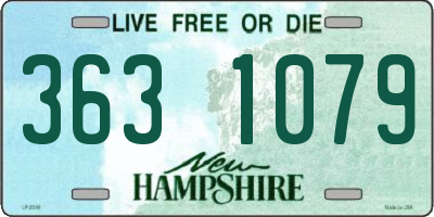 NH license plate 3631079