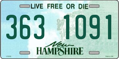 NH license plate 3631091