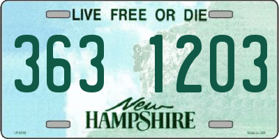 NH license plate 3631203
