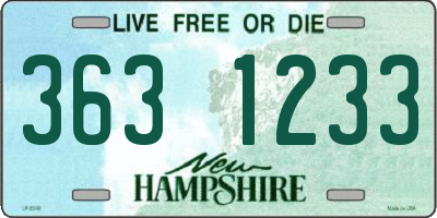 NH license plate 3631233