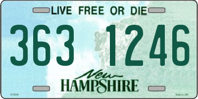 NH license plate 3631246