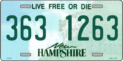 NH license plate 3631263