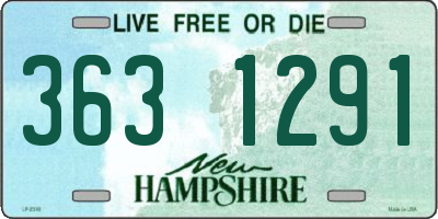NH license plate 3631291