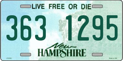 NH license plate 3631295