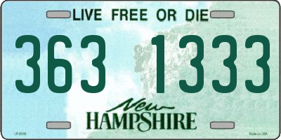 NH license plate 3631333
