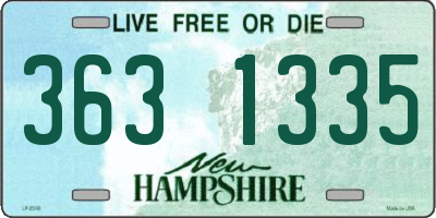NH license plate 3631335