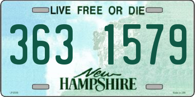 NH license plate 3631579