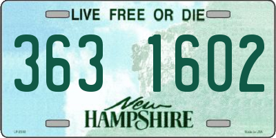 NH license plate 3631602