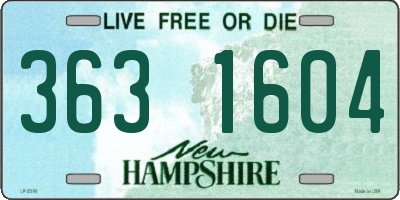 NH license plate 3631604