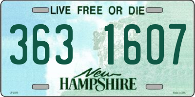 NH license plate 3631607