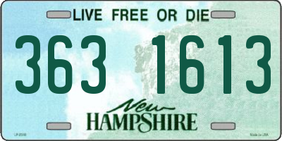 NH license plate 3631613