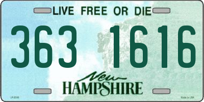 NH license plate 3631616