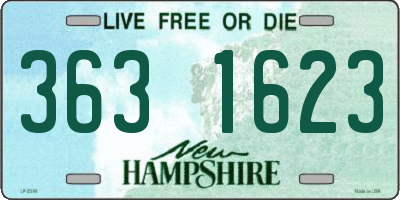 NH license plate 3631623
