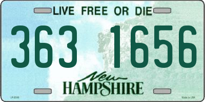 NH license plate 3631656