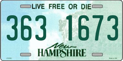 NH license plate 3631673