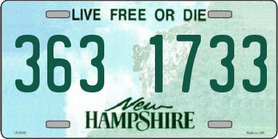 NH license plate 3631733