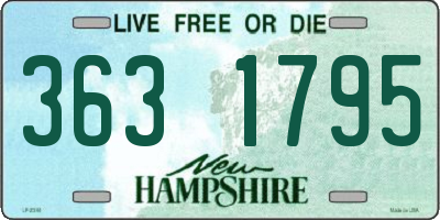 NH license plate 3631795