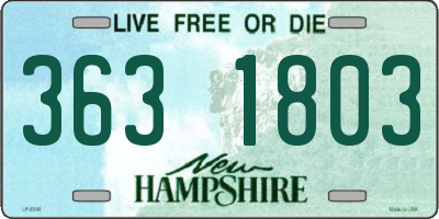 NH license plate 3631803