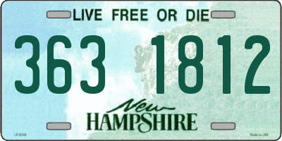NH license plate 3631812
