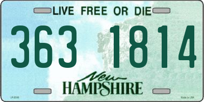 NH license plate 3631814