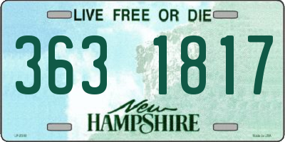 NH license plate 3631817