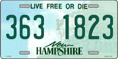 NH license plate 3631823