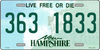 NH license plate 3631833