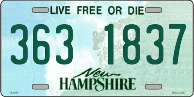NH license plate 3631837