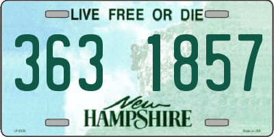 NH license plate 3631857